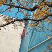 ヒメ日記 2025/12/14 16:59 投稿 ゆい♡キス魔で甘えん坊な癒し系♡ ぴゅあぱい熊本♡ぽちゃかわ巨乳専門♡誠実すぎる風俗♡返金保証店♡