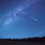 ヒメ日記 2025/12/29 04:59 投稿 ゆい♡キス魔で甘えん坊な癒し系♡ ぴゅあぱい熊本♡ぽちゃかわ巨乳専門♡誠実すぎる風俗♡返金保証店♡