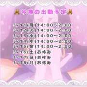 ヒメ日記 2026/05/11 12:59 投稿 ゆい♡キス魔で甘えん坊な癒し系♡ ぴゅあぱい熊本♡ぽちゃかわ巨乳専門♡誠実すぎる風俗♡返金保証店♡