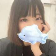 ヒメ日記 2025/10/02 16:43 投稿 さくや バカンス学園　谷九校