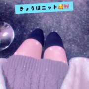 ヒメ日記 2025/12/02 02:40 投稿 さくや バカンス学園　谷九校