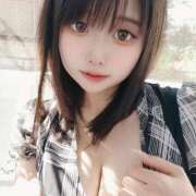 ヒメ日記 2025/08/06 12:31 投稿 ウサギ きらめけ！にゃんにゃん学園in大宮