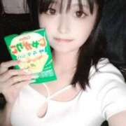 ヒメ日記 2025/08/12 01:04 投稿 ウサギ きらめけ！にゃんにゃん学園in大宮