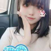 ヒメ日記 2025/08/14 12:12 投稿 ウサギ きらめけ！にゃんにゃん学園in大宮