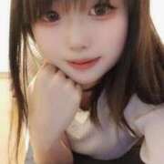 ヒメ日記 2025/08/15 02:51 投稿 ウサギ きらめけ！にゃんにゃん学園in大宮