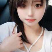 ヒメ日記 2025/08/16 17:32 投稿 ウサギ きらめけ！にゃんにゃん学園in大宮