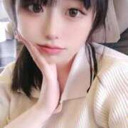 ヒメ日記 2025/08/28 01:07 投稿 ウサギ きらめけ！にゃんにゃん学園in大宮