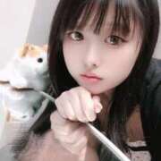 ヒメ日記 2025/08/29 00:25 投稿 ウサギ きらめけ！にゃんにゃん学園in大宮