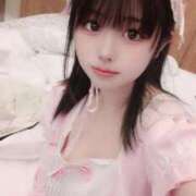 ヒメ日記 2025/08/31 00:45 投稿 ウサギ きらめけ！にゃんにゃん学園in大宮