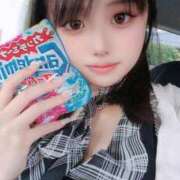 ヒメ日記 2025/09/14 17:39 投稿 ウサギ きらめけ！にゃんにゃん学園in大宮