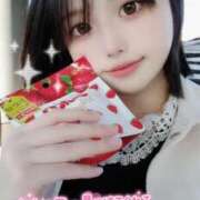 ヒメ日記 2025/11/10 14:06 投稿 ウサギ きらめけ！にゃんにゃん学園in大宮