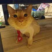 ヒメ日記 2025/08/16 22:20 投稿 ちさと♡熟練された3点責め ぴゅあぱい熊本♡ぽちゃかわ巨乳専門♡誠実すぎる風俗♡返金保証店♡