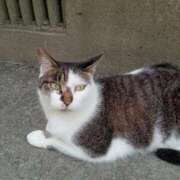 ヒメ日記 2025/08/23 19:37 投稿 ちさと♡熟練された3点責め ぴゅあぱい熊本♡ぽちゃかわ巨乳専門♡誠実すぎる風俗♡返金保証店♡