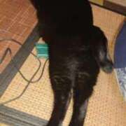 ヒメ日記 2025/08/31 21:00 投稿 ちさと♡熟練された3点責め ぴゅあぱい熊本♡ぽちゃかわ巨乳専門♡誠実すぎる風俗♡返金保証店♡