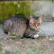 ちさと♡熟練された3点責め 尾ノ上ご自宅のお客様⸜(*˙꒳˙*  )⸝ ぴゅあぱい熊本♡ぽちゃかわ巨乳専門♡誠実すぎる風俗♡返金保証店♡