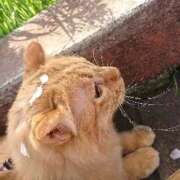 ちさと♡熟練された3点責め ロゼのお客様⸜(*˙꒳˙*  )⸝ ぴゅあぱい熊本♡ぽちゃかわ巨乳専門♡誠実すぎる風俗♡返金保証店♡