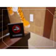 ヒメ日記 2025/08/01 12:19 投稿 ゆらこ。 変態貴族 五反田店