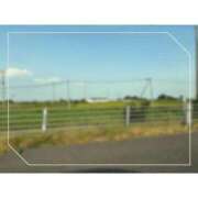 ヒメ日記 2025/08/25 18:29 投稿 ゆらこ。 変態貴族 五反田店