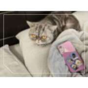 ヒメ日記 2025/11/01 15:09 投稿 ゆらこ。 変態貴族 五反田店