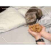 ゆらこ。 猫様は興味なし🥲 変態貴族 五反田店