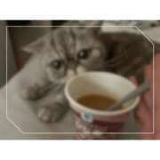 ゆらこ。 そんなことあるんだ 変態貴族 五反田店