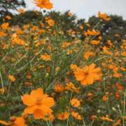 ヒメ日記 2025/09/18 22:19 投稿 ゆず汰 変態貴族 五反田店