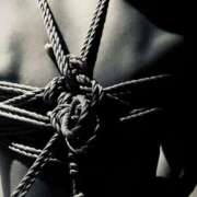 ヒメ日記 2025/11/06 11:59 投稿 ゆず汰 変態貴族 五反田店