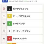 ヒメ日記 2025/09/15 15:49 投稿 たづな 変態貴族 五反田店