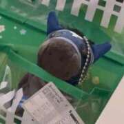 たづな ヤッター！ 変態貴族 五反田店