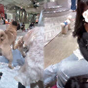 ねおん 🐶もふもふ天国🪽 大宮baton