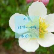 ヒメ日記 2025/07/29 23:57 投稿 ゆかり 五反田人妻ヒットパレード（シンデレラグループ）