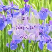 ヒメ日記 2025/08/09 00:30 投稿 ゆかり 五反田人妻ヒットパレード（シンデレラグループ）