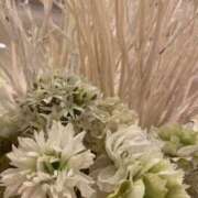 ヒメ日記 2025/08/09 00:47 投稿 ゆかり 五反田人妻ヒットパレード（シンデレラグループ）