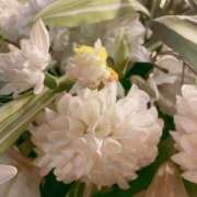 ゆかり A様 五反田人妻ヒットパレード（シンデレラグループ）