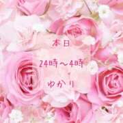 ゆかり 出勤です? 五反田人妻ヒットパレード（シンデレラグループ）