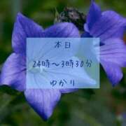 ゆかり 本日24時〜です? 五反田人妻ヒットパレード（シンデレラグループ）