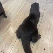 ヒメ日記 2025/10/05 06:07 投稿 おとは ベイキュート