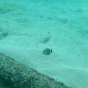 ヒメ日記 2025/11/02 05:27 投稿 おとは ベイキュート