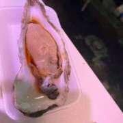 ヒメ日記 2025/11/02 08:57 投稿 おとは ベイキュート