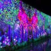 ヒメ日記 2025/08/05 08:02 投稿 みうか ハピネス福岡