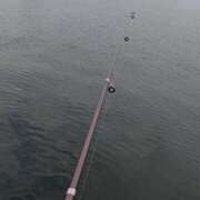 ヒメ日記 2026/01/18 16:22 投稿 みうか ハピネス福岡