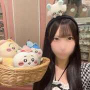 ヒメ日記 2025/09/28 13:20 投稿 りお 男爵