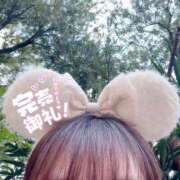 ヒメ日記 2025/11/24 09:56 投稿 音無ほのか 池袋パラダイス