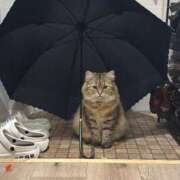 ヒメ日記 2025/08/11 14:18 投稿 すず 西船人妻花壇