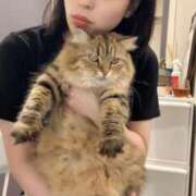 ヒメ日記 2025/08/11 23:17 投稿 すず 西船人妻花壇