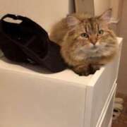 ヒメ日記 2025/08/15 16:18 投稿 すず 西船人妻花壇