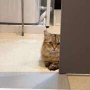 ヒメ日記 2025/08/16 00:20 投稿 すず 西船人妻花壇