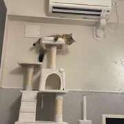 ヒメ日記 2025/08/27 16:19 投稿 すず 西船人妻花壇