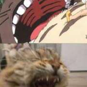 ヒメ日記 2025/09/18 14:16 投稿 すず 西船人妻花壇