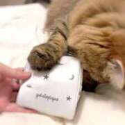 ヒメ日記 2025/09/23 22:18 投稿 すず 西船人妻花壇